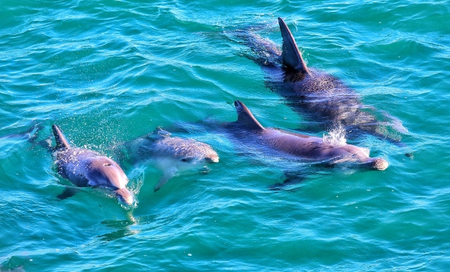 北石：这个由一群流放者建立的国家如今居然这么发达和美丽