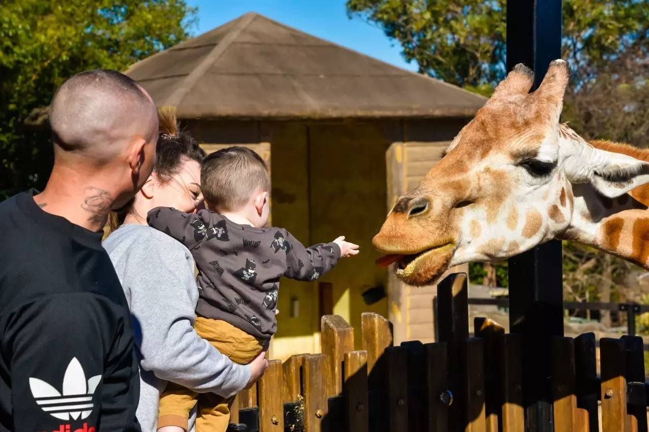 北石：这个由一群流放者建立的国家如今居然这么发达和美丽