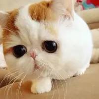 5个治愈的故事,50个治愈系故事