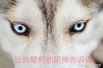 日产天籁轩逸,天籁清仓钜惠14.78万限量抢购中