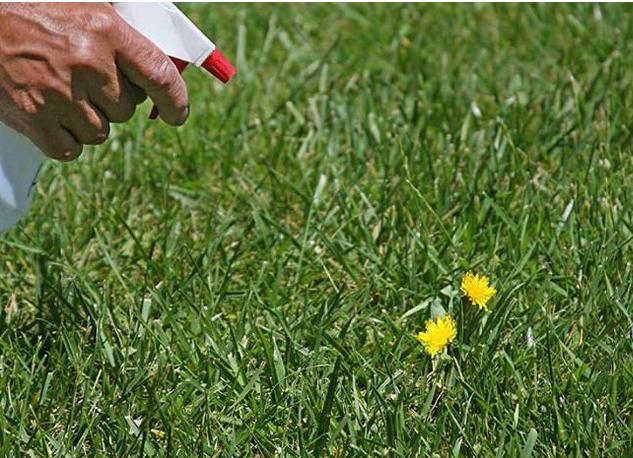 农村治虫最好方法,古老的驱虫方法