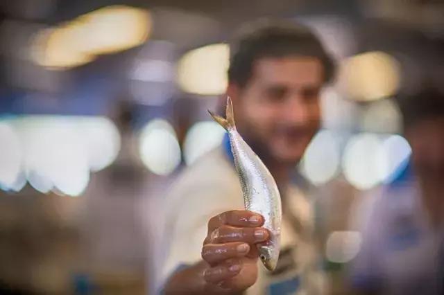 纸醉金迷的启航之路——迪拜（下）