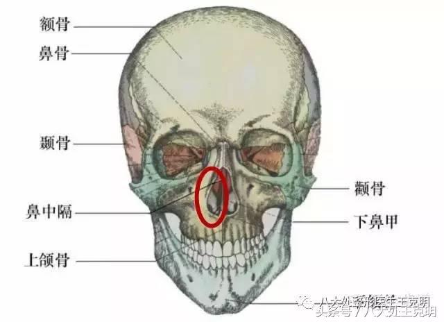 杨紫的法令纹能消除吗,杨紫法令纹很深怎么回事