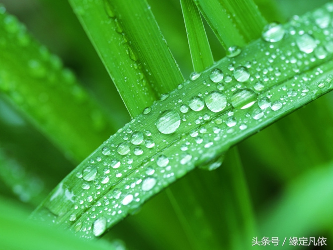 胎停育备孕心酸,胎停妈妈痛苦