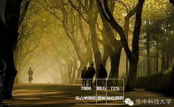 保研华中科技大学研究生怎么样,学在华科玩在武大