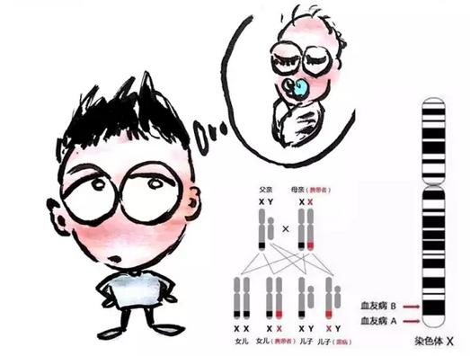 有血友病遗传生孩子有什么危险,一受伤就血流不止的病叫什么