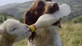 有个吃货老婆,有一个吃货老婆简直让人崩溃