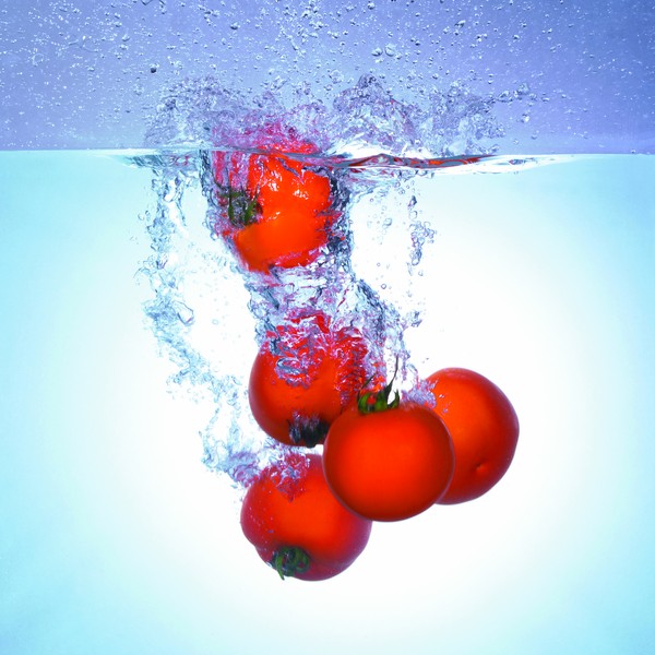 打坐养生要关注哪些,打坐饮食