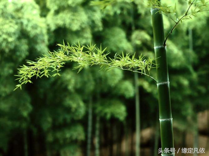 胎停育备孕心酸,胎停妈妈痛苦