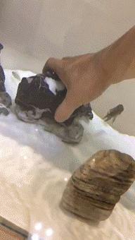 中国足球集锦gif,足球精彩瞬间gif