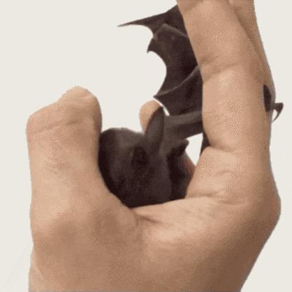 大爷的遮阳工具堪称完美，整体搭配又如此清新脱俗