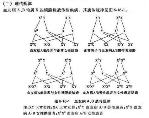 有血友病遗传生孩子有什么危险,一受伤就血流不止的病叫什么
