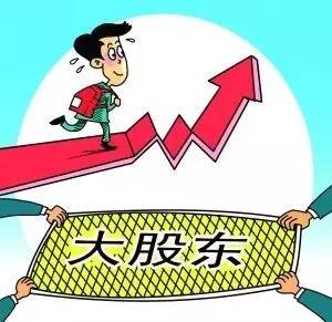 st德力,st德力为什么大股东会跌停