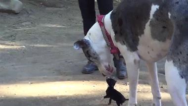 有个吃货老婆,有一个吃货老婆简直让人崩溃