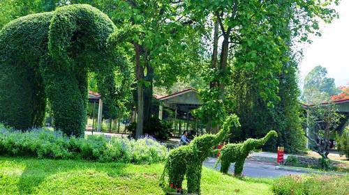 第一次来泰国不知道这5件事,第一次去旅游不知道去哪里好