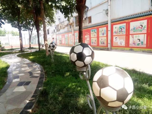 开展校园足球的建议,开展校园足球的意义