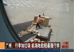 狗狗空运可以不跟机吗,狗狗托运哪个更安全