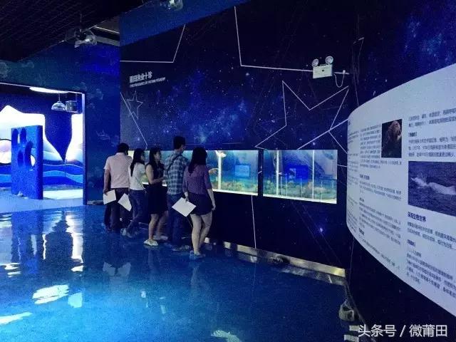 莆田首家智能化海洋体验馆,莆田海洋文化主题体验馆