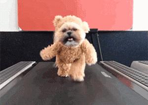 跑步机没用了怎么办,跑步机没效果