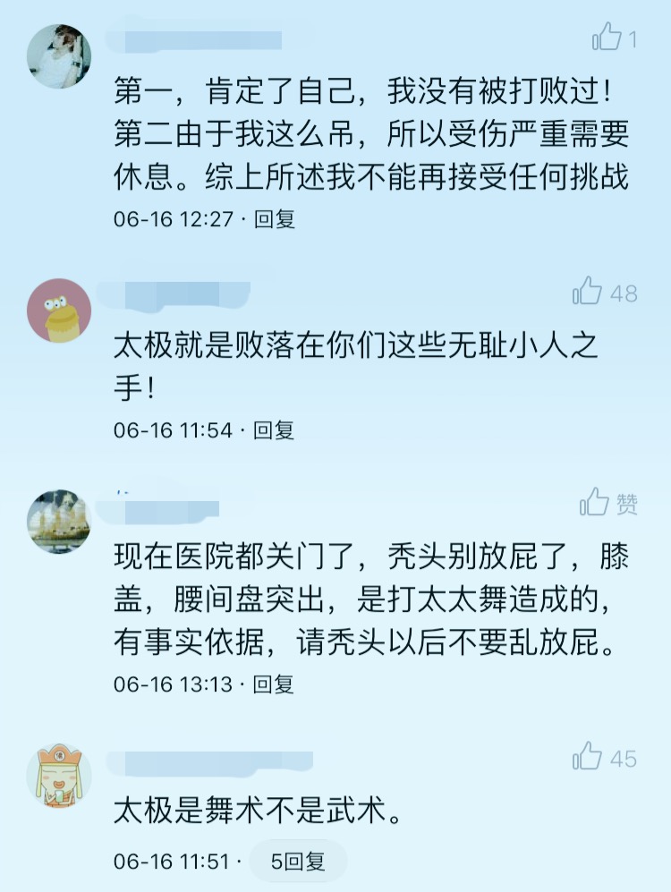 太极推手王战军完整版,王战军太极十三式完整版