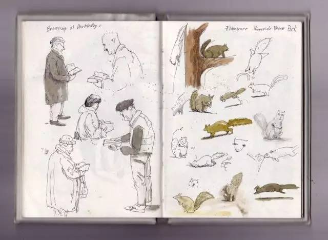 树丛｜大眼睛小眼珠，呆萌可爱舍夫勒