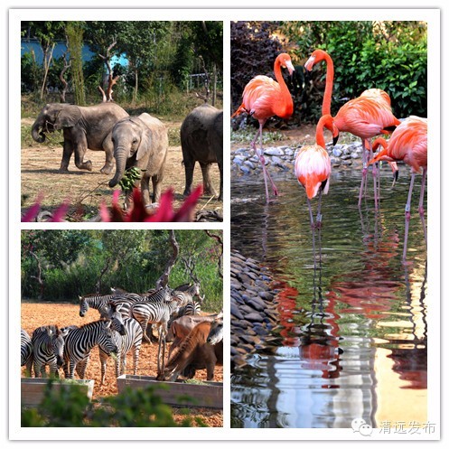 来了来了！2016年清远要发生这些大事，将这样改变你我的生活！