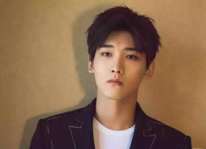 当年红极一时的6个明星,细数当年红极一时的明星