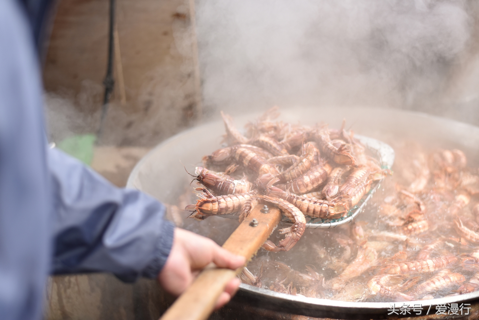 一封来自小樽的情书完整版,吃货小情书