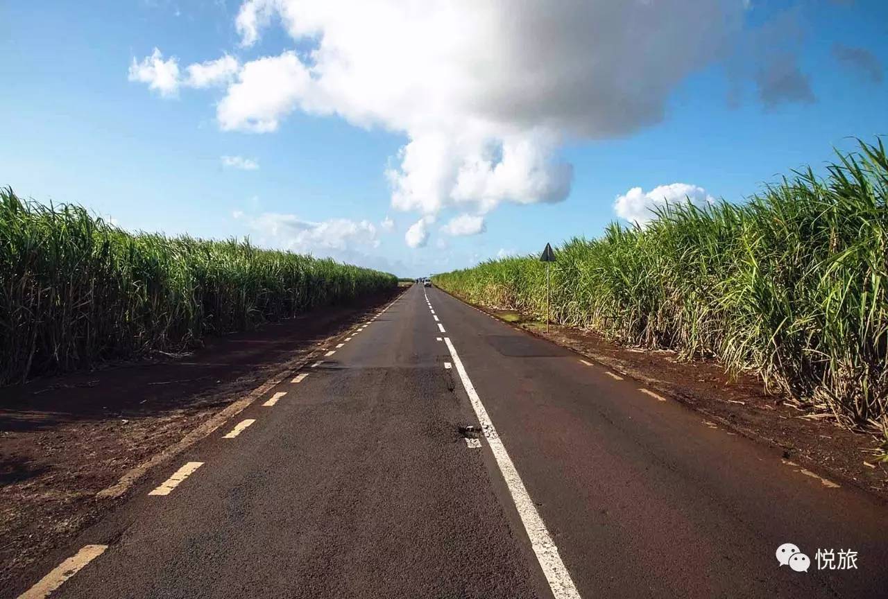 毛里求斯免签,毛里求斯在中国免签停留时间