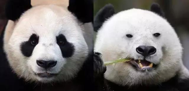 黑眼圈眼部护理推荐,告别黑眼圈眼袋眼纹提拉紧致