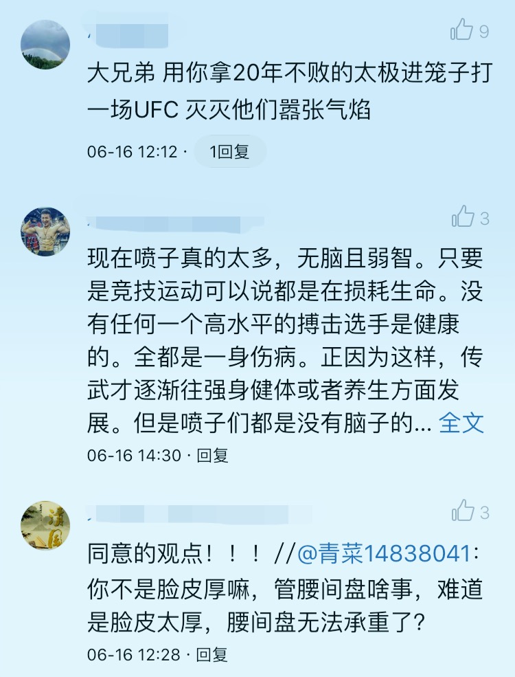 太极推手王战军完整版,王战军太极十三式完整版