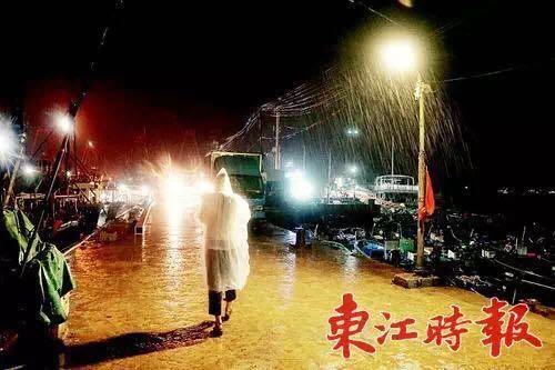 如何在直播行业更好的存活下去,直播运营前景与现状分析