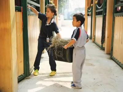 仅3%的人知道马术治疗的神奇之处