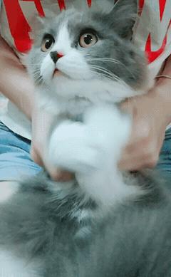 有个吃货老婆,有一个吃货老婆简直让人崩溃