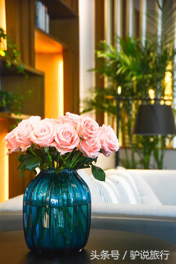 苏州旅游蜜月,苏州蜜月旅行