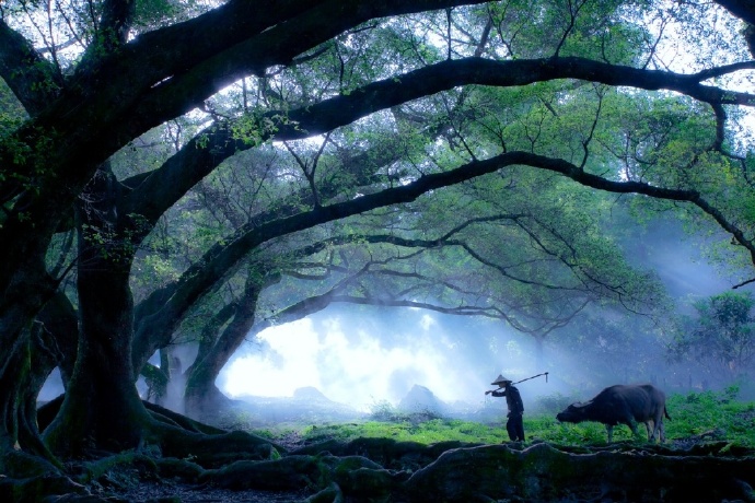 诗词远看山有色近听水无声,远看山有色近听水无声是哪首诗