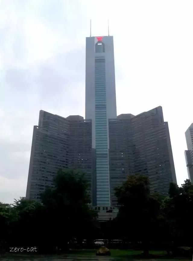 林和西还能出去吗 (林和西视频)