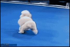 有个吃货老婆,有一个吃货老婆简直让人崩溃