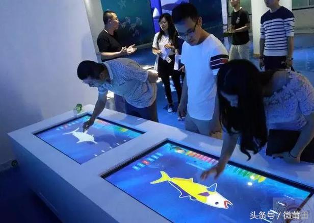 莆田首家智能化海洋体验馆,莆田海洋文化主题体验馆