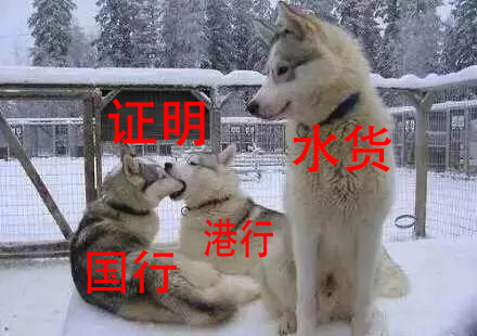 港版和水货怎么区分,苹果6splus国行港行水货怎么区别