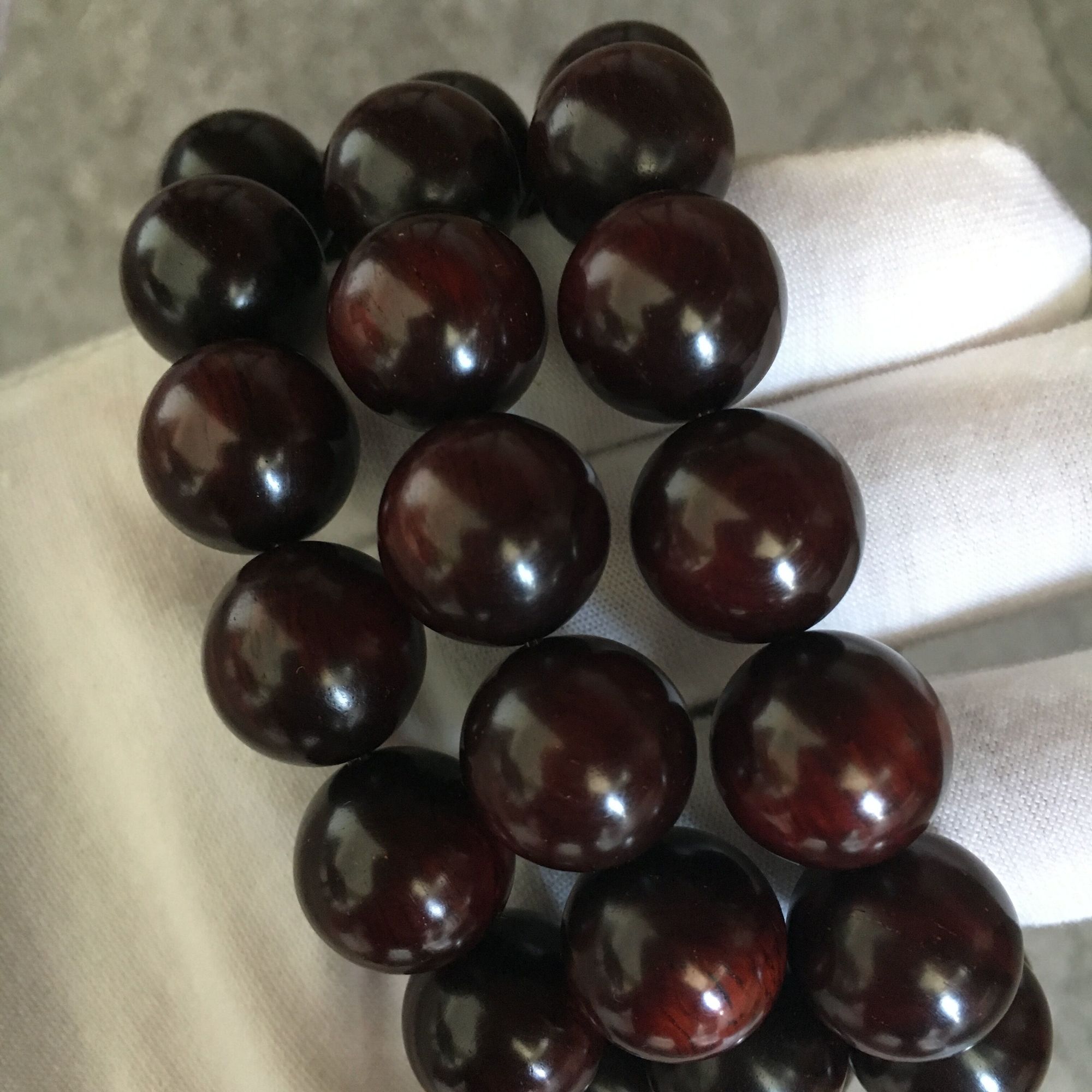 小叶紫檀叶尖发黑怎么回事,小叶紫檀叶子发黑变黄怎么办