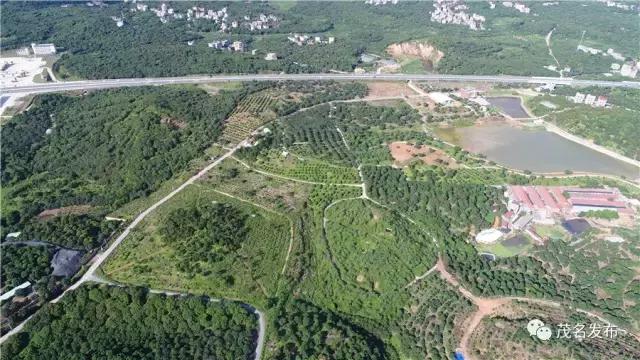 楂樺窞鑽旀灊鐢靛晢,楂樺窞鑽旀灊鐢靛晢甯傚満钀ラ攢鏂规