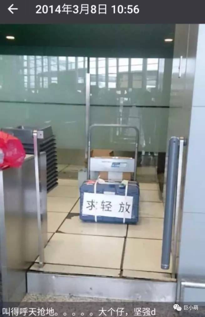 狗狗空运可以不跟机吗,狗狗托运哪个更安全