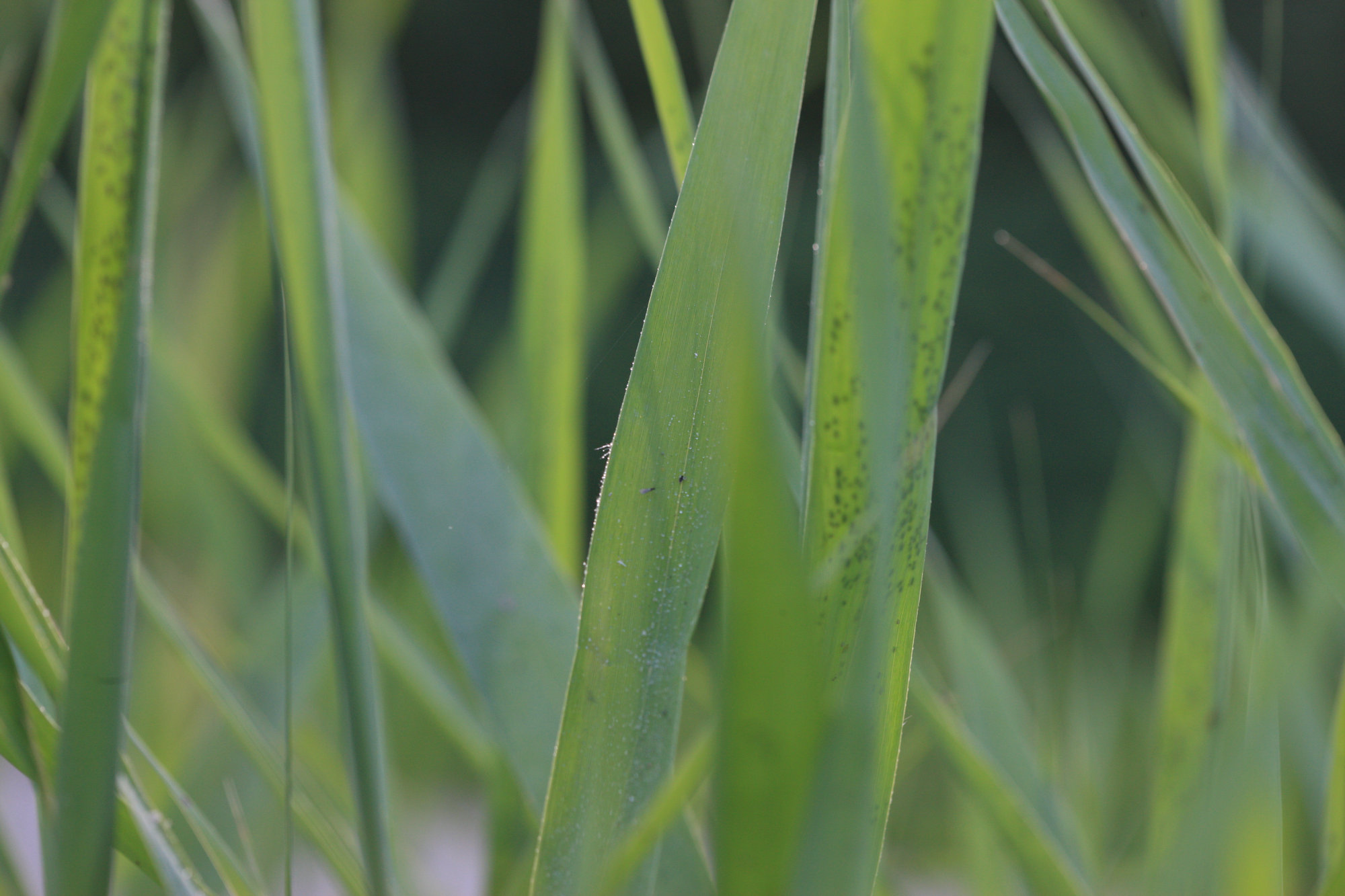 失眠怎样用黛力新,黛力新早上几点吃对睡眠最好