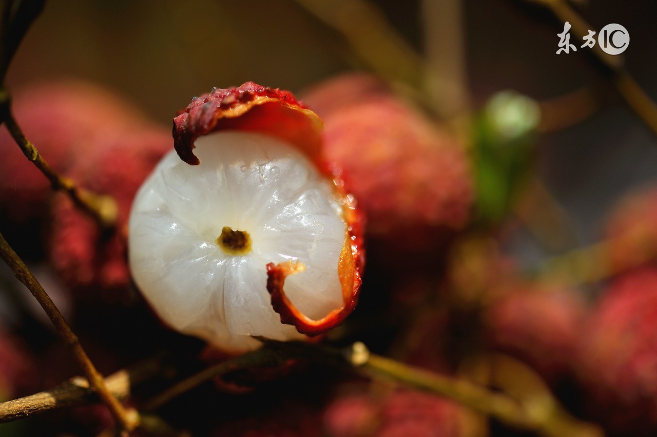 吃榴莲吃晕了,吃榴莲冒痘