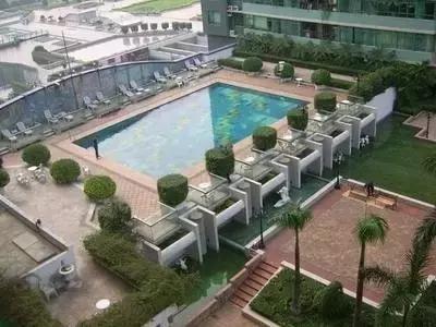 林和西还能出去吗 (林和西视频)