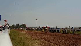 巴州农牧民趣味运动会在博湖举行,珠日河草原那达慕大会