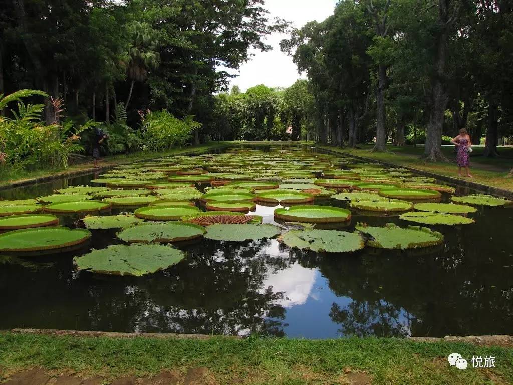 毛里求斯免签,毛里求斯在中国免签停留时间