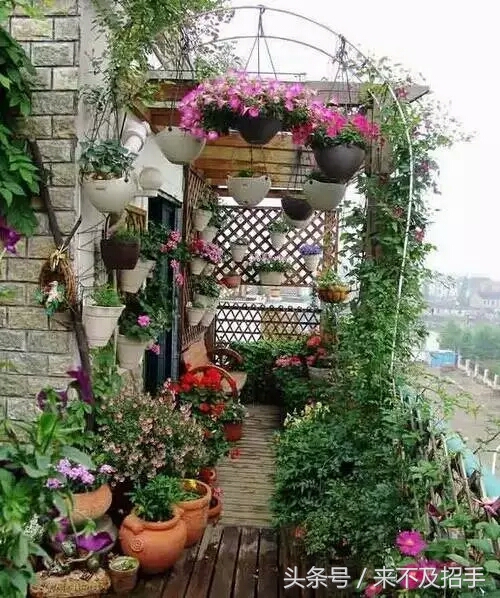 碰到极品婆婆你们怎么办？