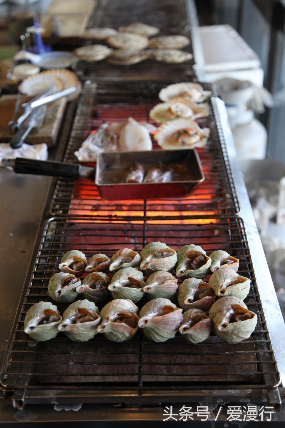 一封来自小樽的情书完整版,吃货小情书